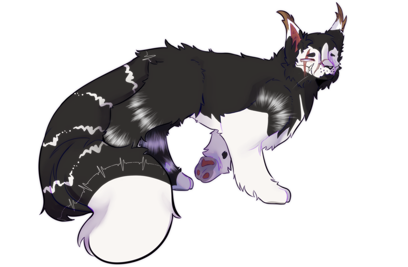 Skull'Strike 2025 Design