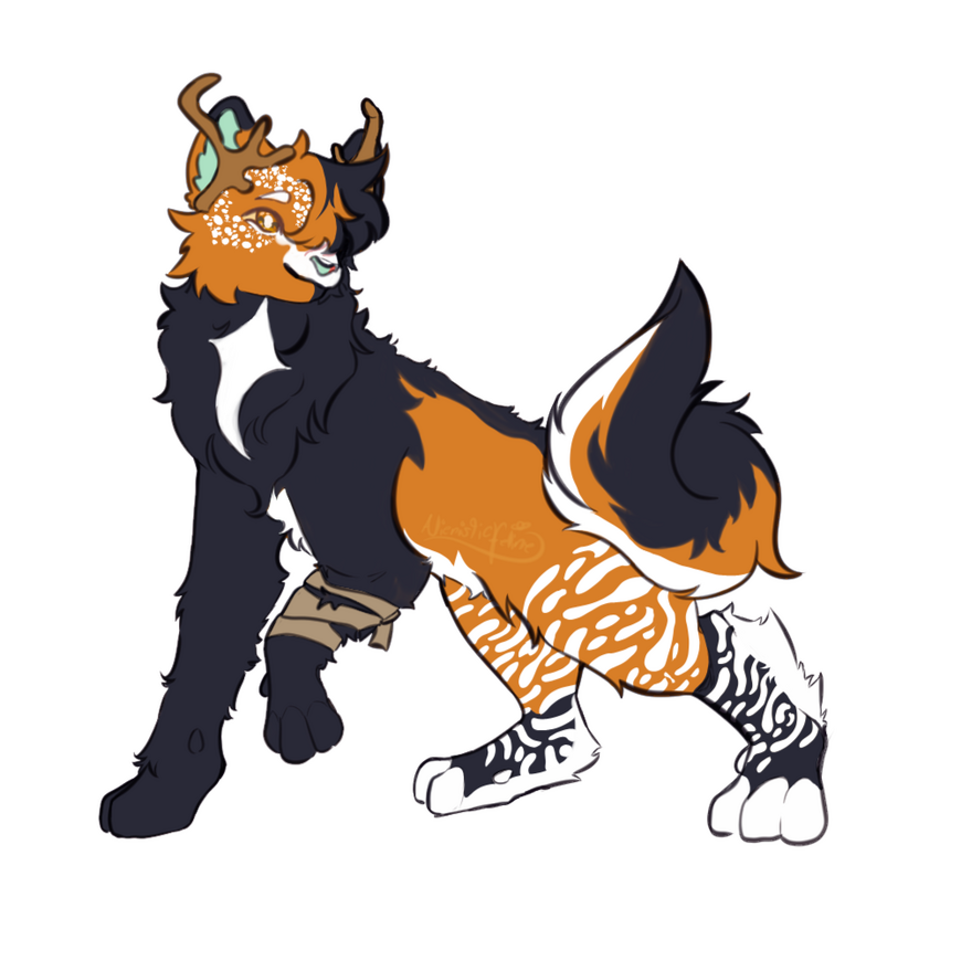 Honey'Fox 2025 Design